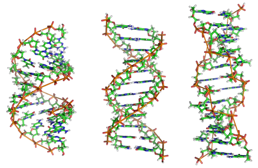 La carte Biopolymère