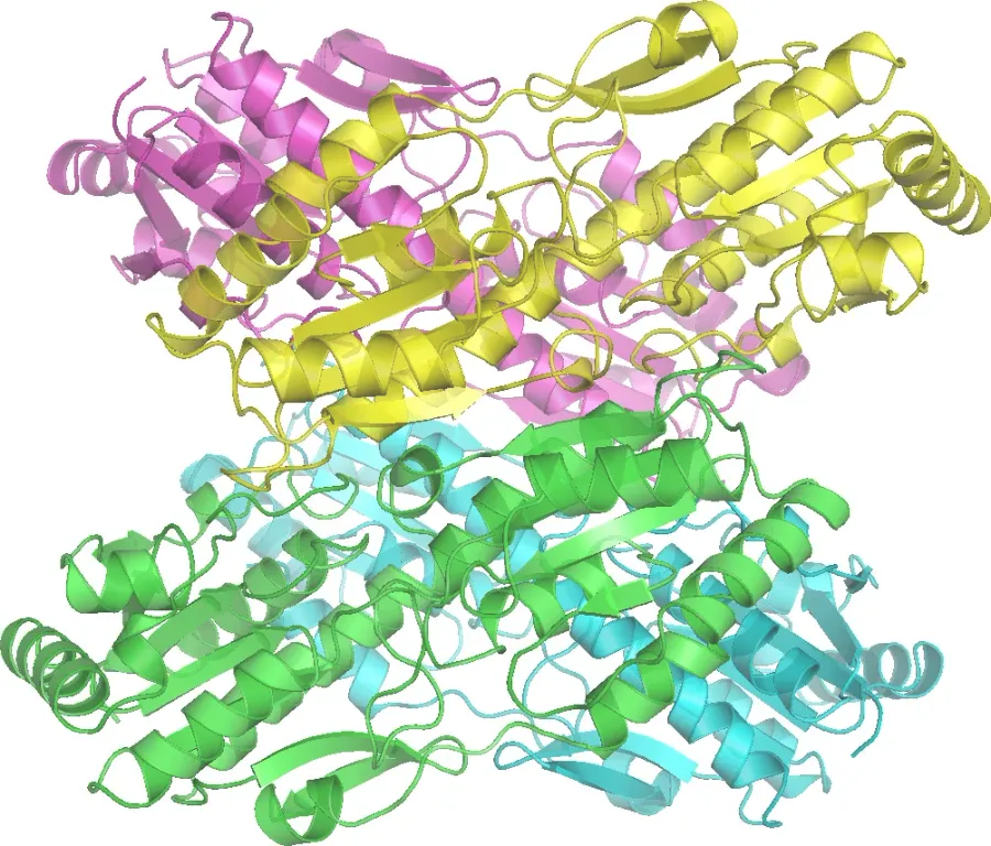 The Enzyme activator card