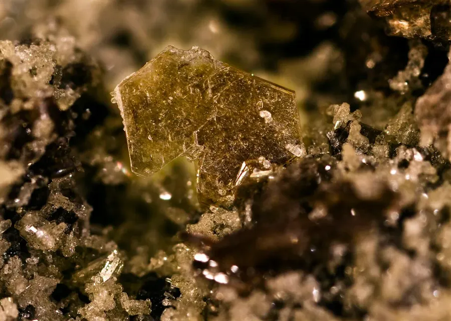 La carte Phlogopite