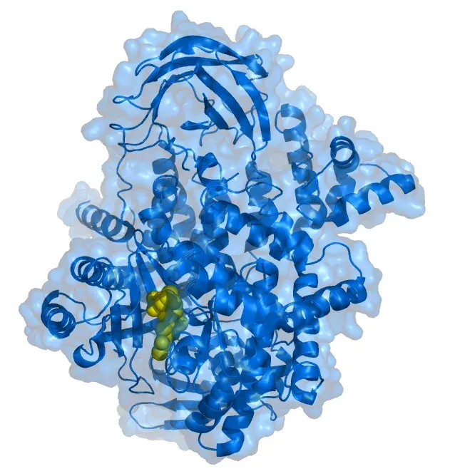 La carte Phosphoinositide-3-kinase