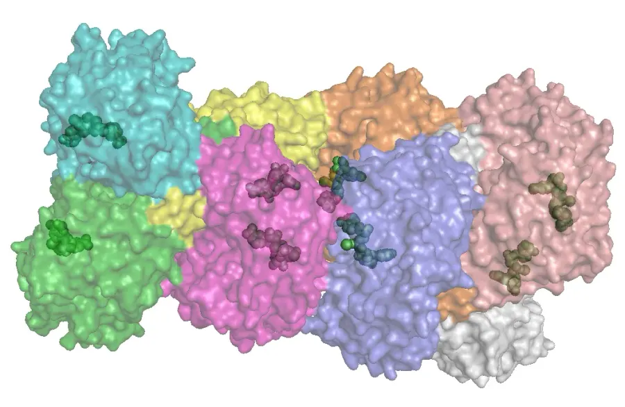 La carte Aldéhyde-déshydrogénase