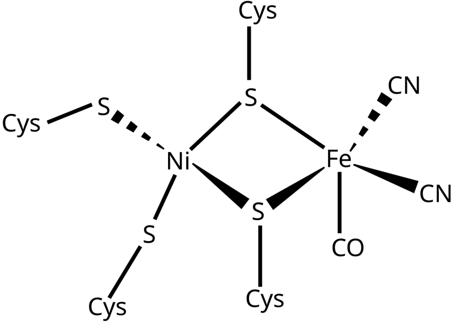 The Hydrogenase card