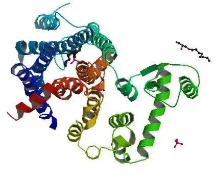 The Histamine receptor card