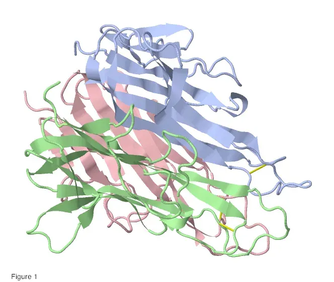 The Tumor necrosis factor superfamily card