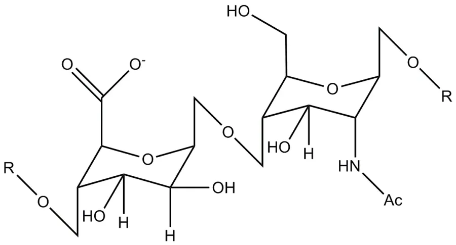 The Heparan sulfate card