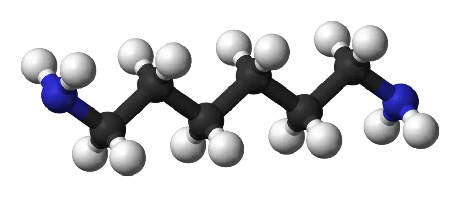 La carte Hexaméthylènediamine