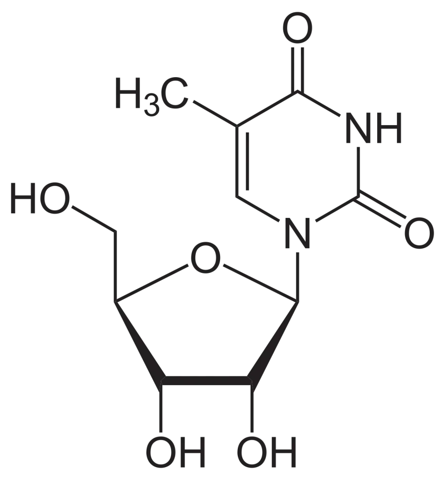 The 5-Methyluridine card