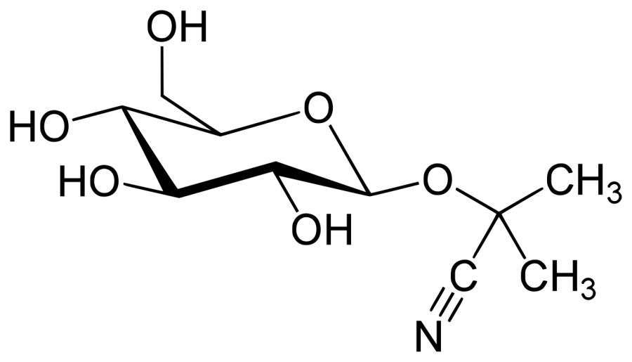 The Linamarin card