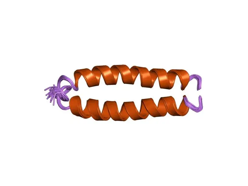 The Fusion protein card
