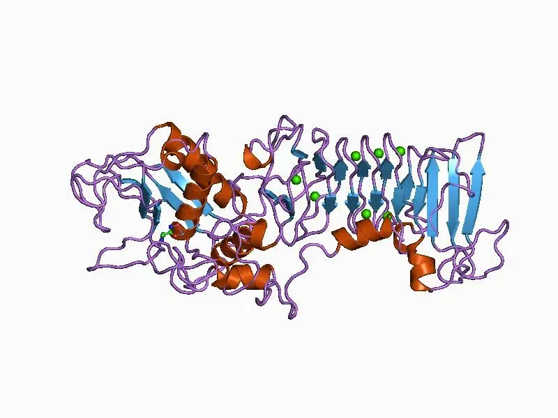 The Metalloproteinase card