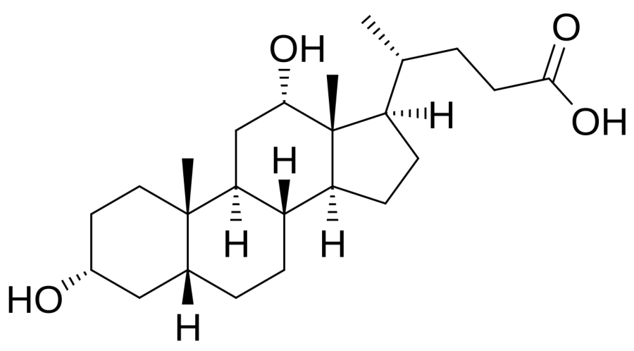 The Deoxycholic acid card