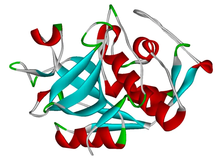 The Cathepsin card