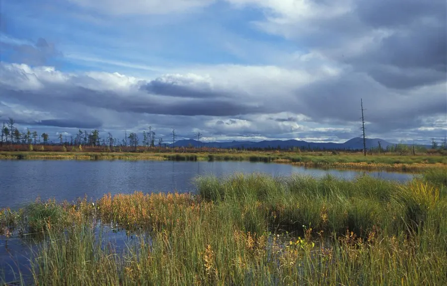 The Magadan Nature Reserve card