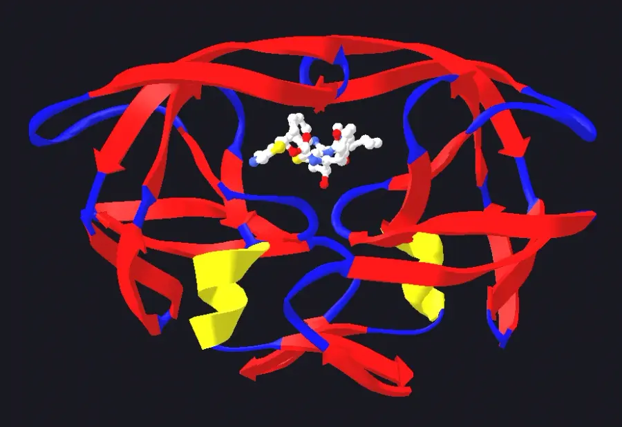 The Enzyme inhibitor card