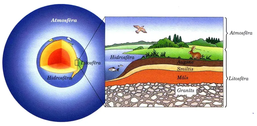 The Biosphere card
