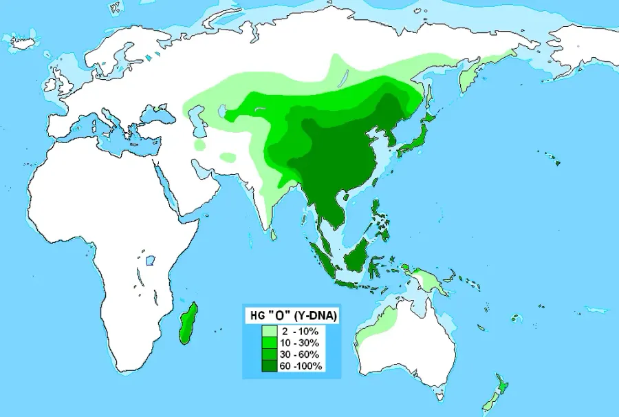 The Haplogroup O-M175 card