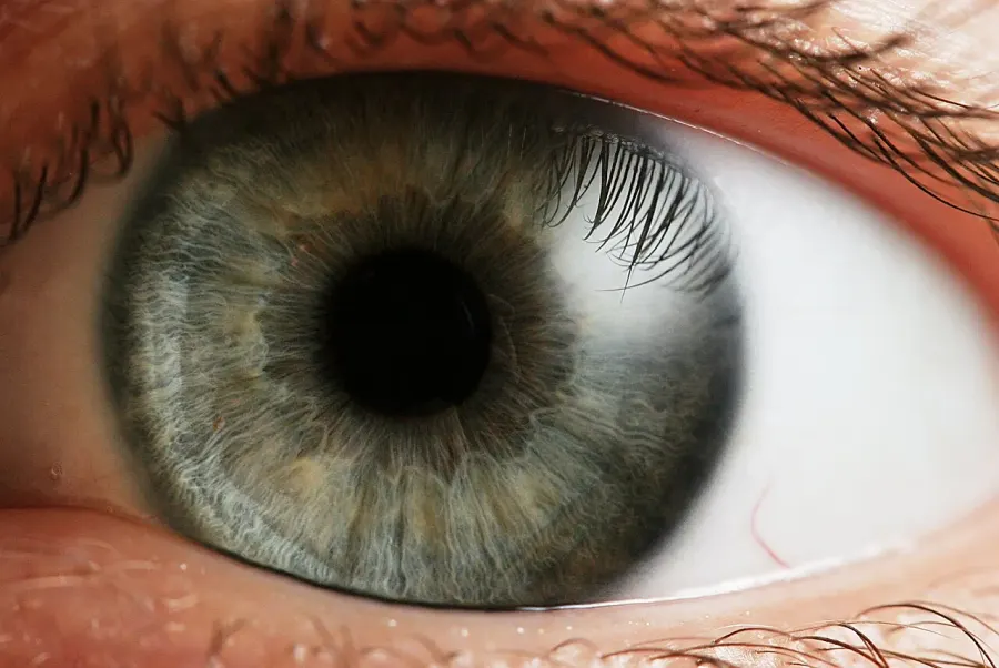 The Human eye card