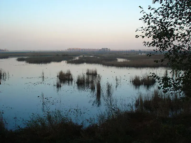 La carte Düzce
