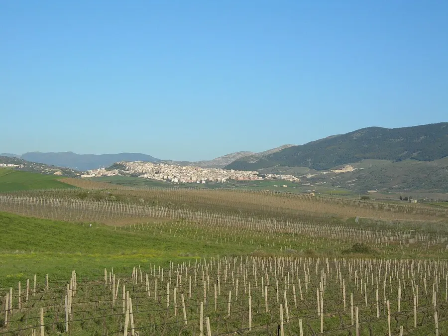 The Sambuca di Sicilia card