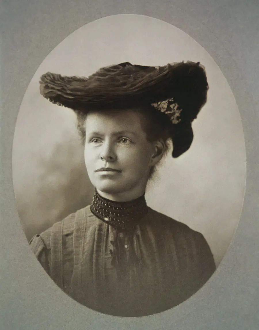 La carte Nettie Stevens