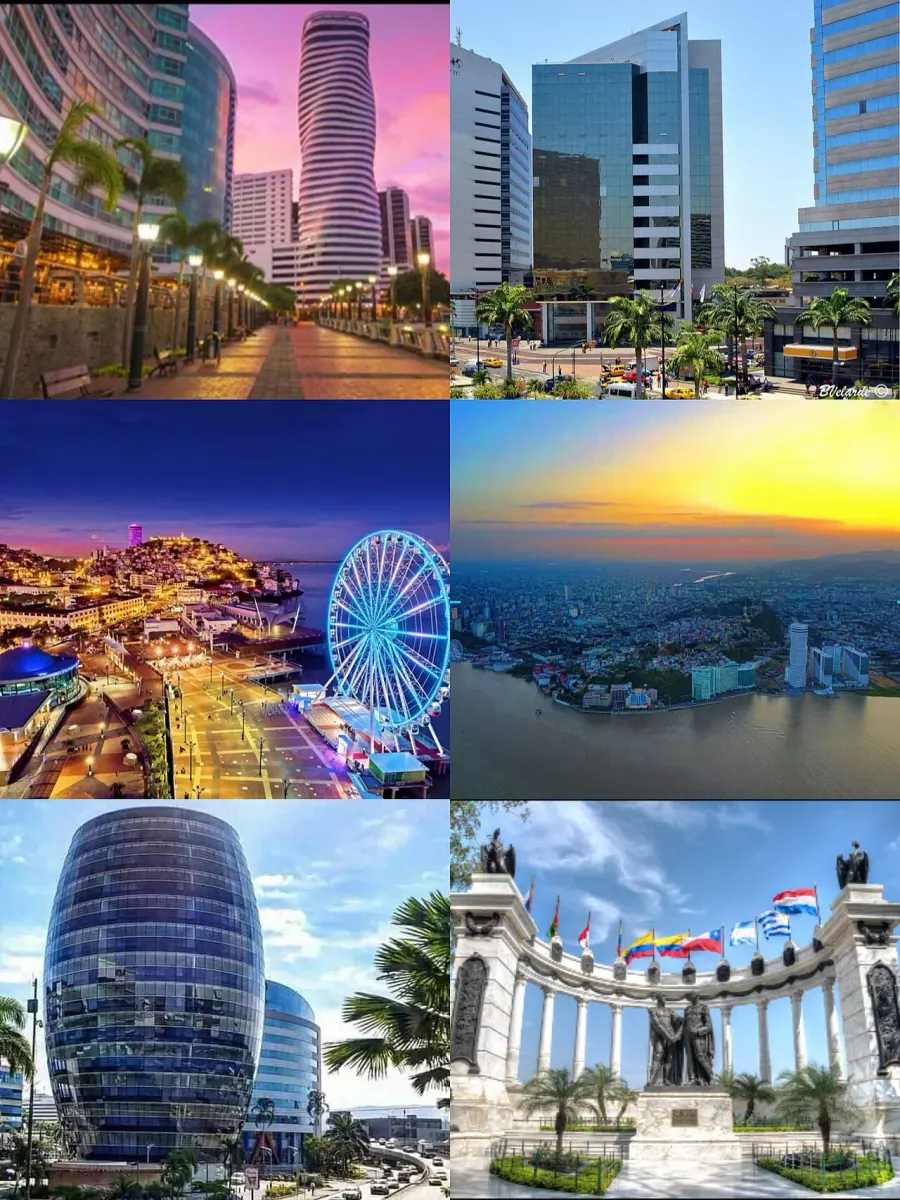The Guayaquil card