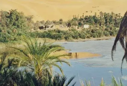 La carte Oasis
