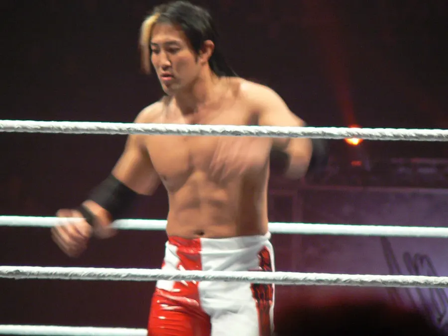 The Yoshi Tatsu card