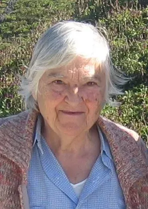 La carte Etel Adnan