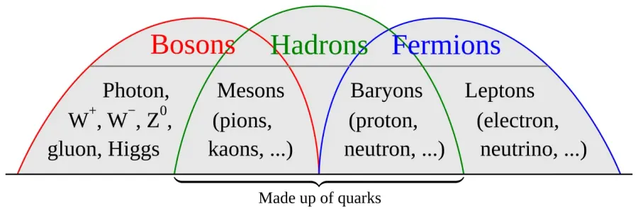 The Fermion card
