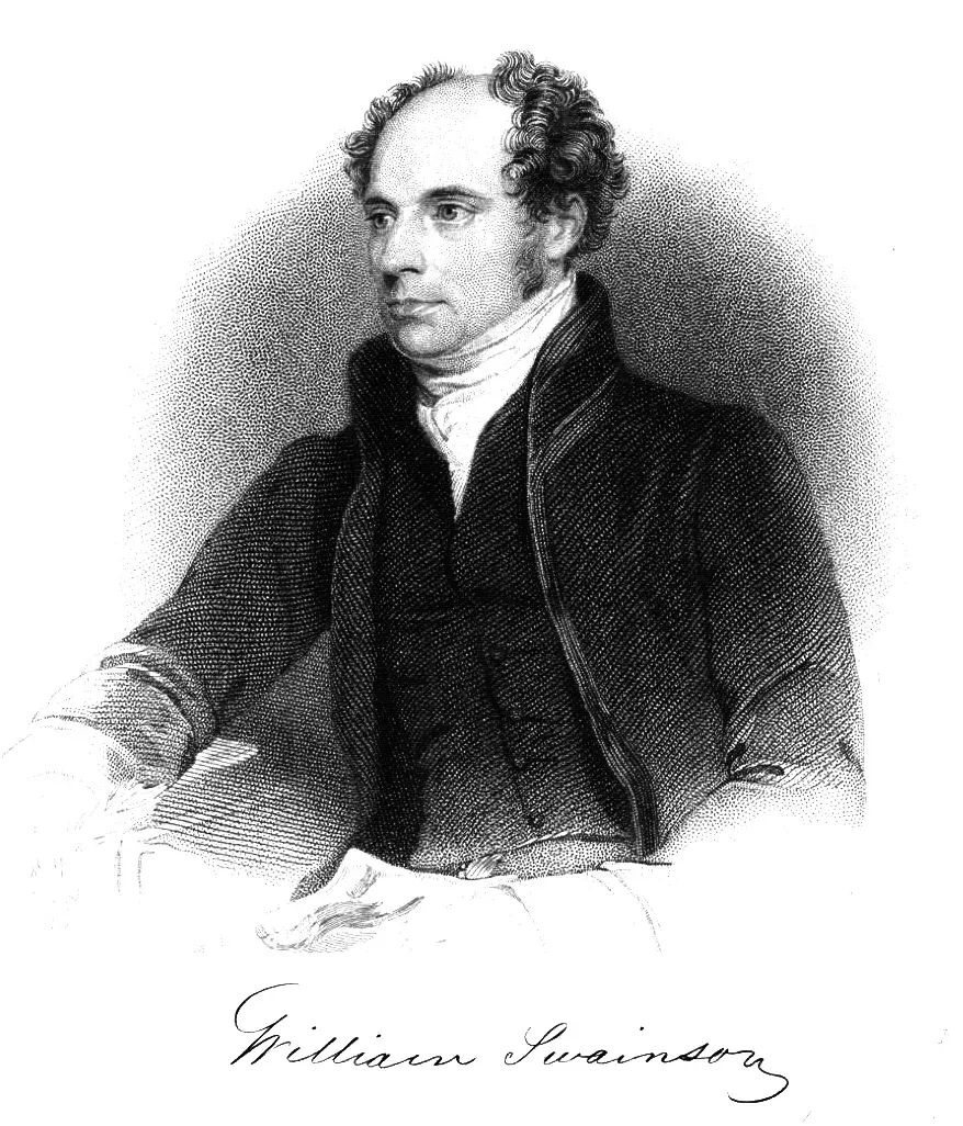 The William Swainson card