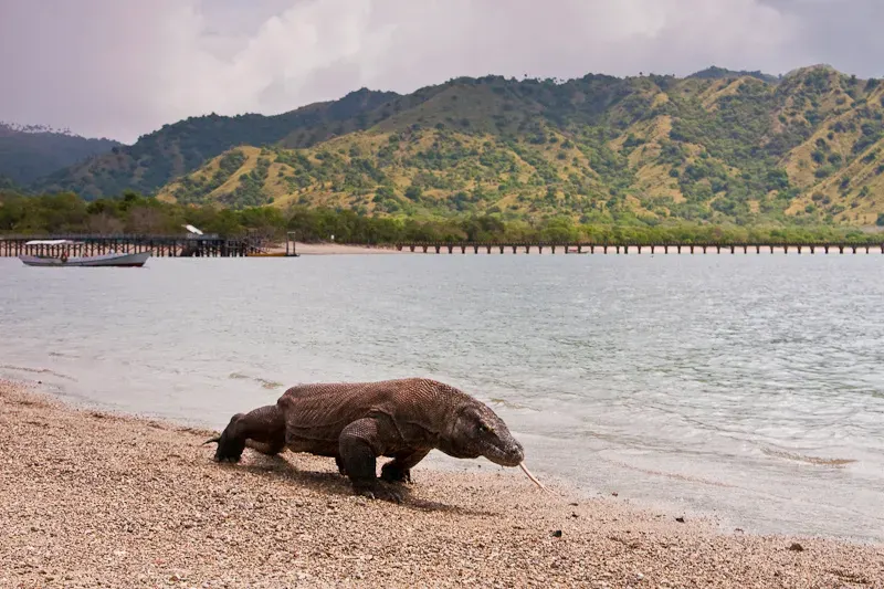 La carte Parc national de Komodo