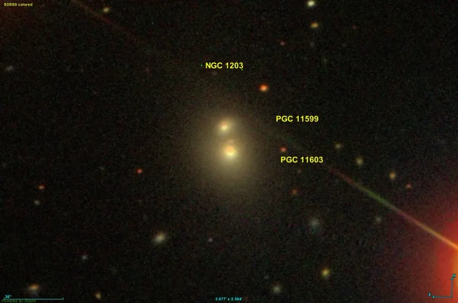 The NGC 1203 card
