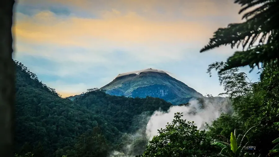The Mount Apo card