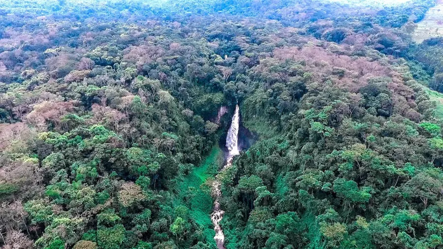 The Kahuzi-Biéga National Park card