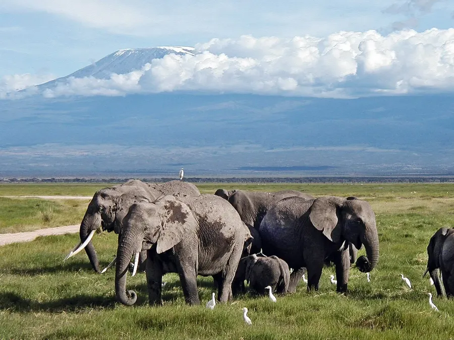La carte Parc national d'Amboseli