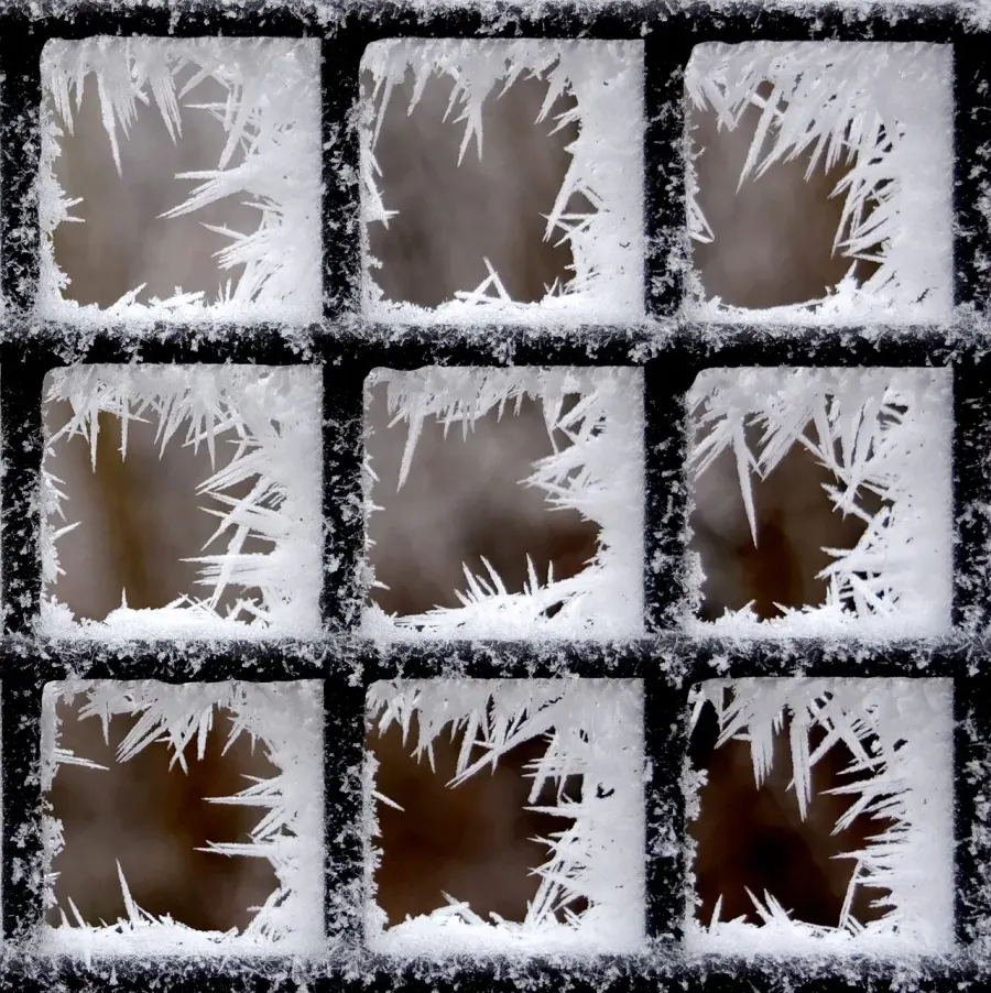 La carte Gelée blanche