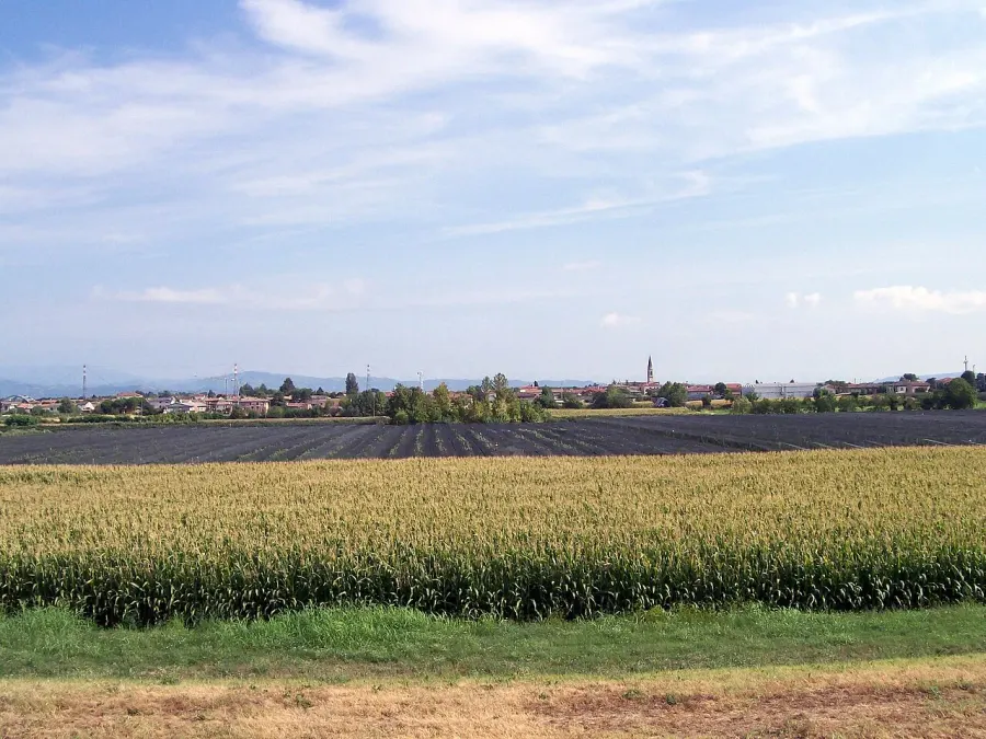 La carte Albaredo d'Adige