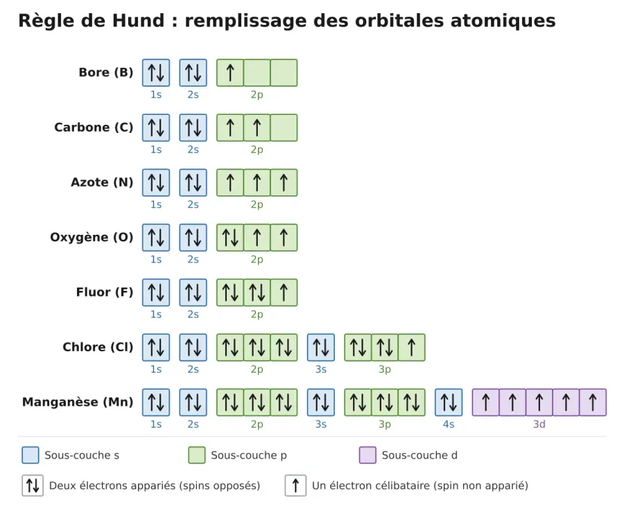 La carte Règle de Hund