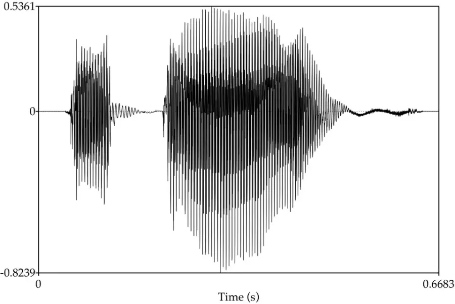 The Audio signal card