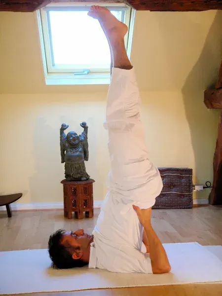 La carte Asana
