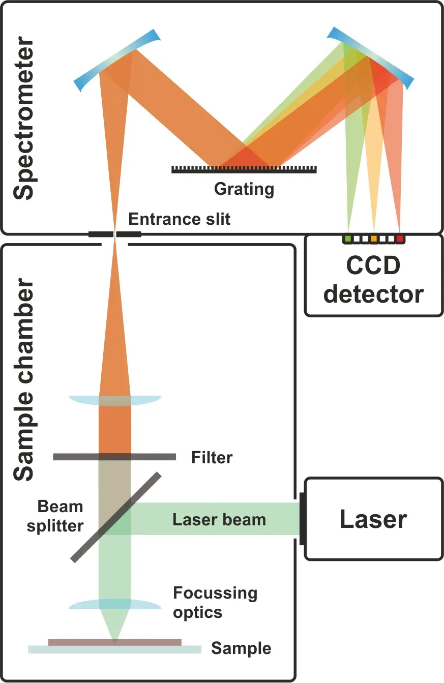 La carte Diffusion Raman