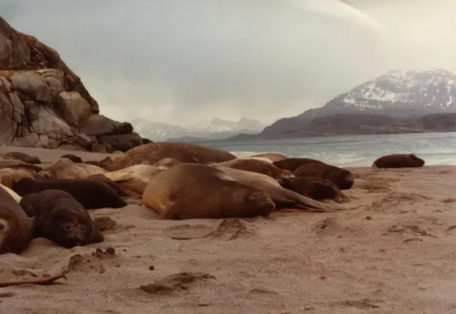 La carte Îles Kerguelen