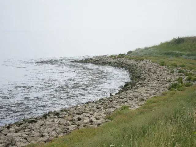 La carte Rivage