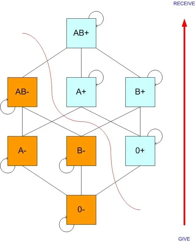The Blood type card