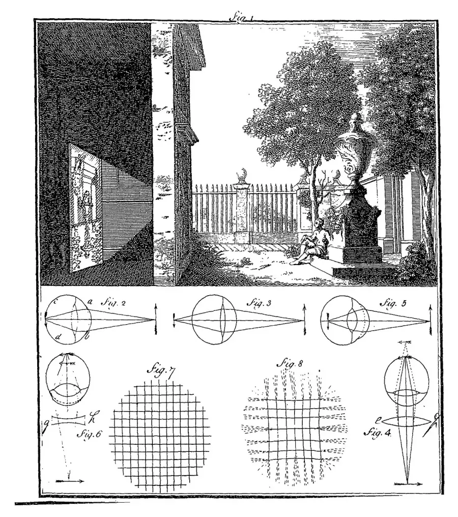 The Image card