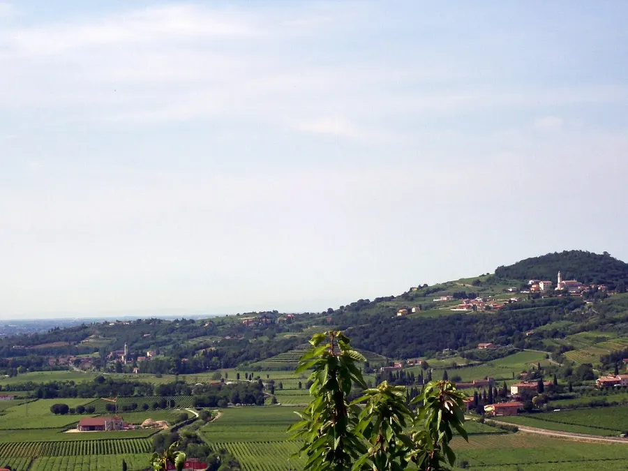 La carte Lavagno