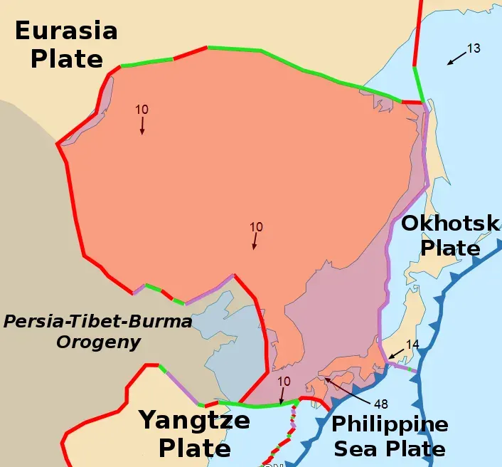 The Amur plate card