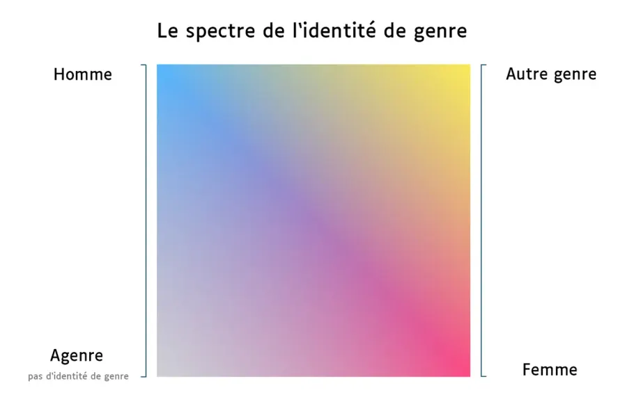 The Gender identity card