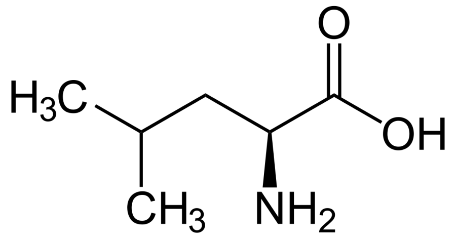 The Leucine card
