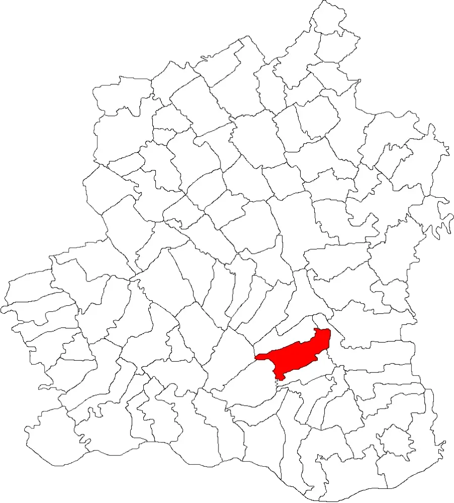 La carte Țigănești